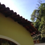 Camera Francisco 217