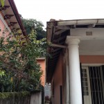 Camera Francisco cel 035