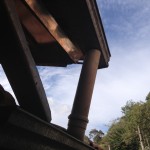 Camera Francisco cel 052