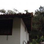 Fotos cel Francisco backup 490